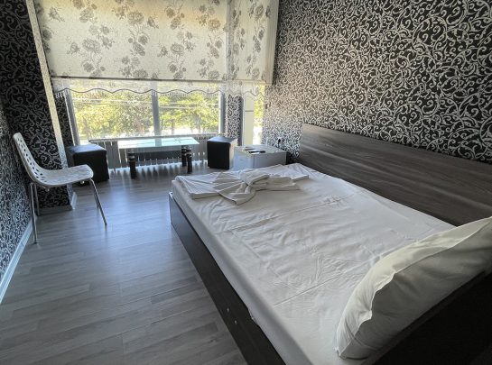 Single room with a view to the Danube - view 1