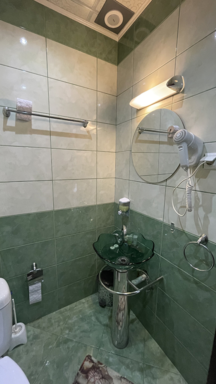 Single room with a view to the Danube – view 2 – Hotel Restorant Dunav